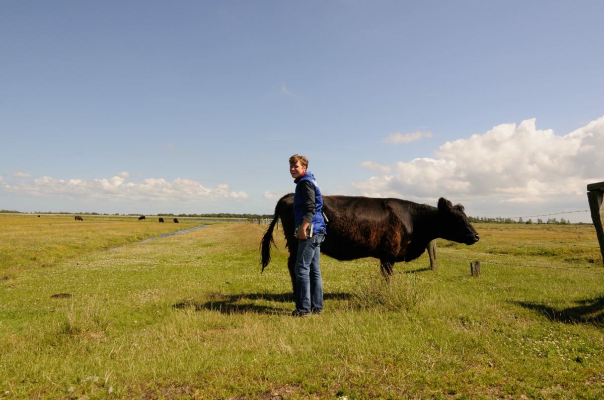 besserfleisch.de Bio Fleisch aus Weidehaltung