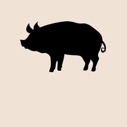 Grillwürstchen vom Schwein